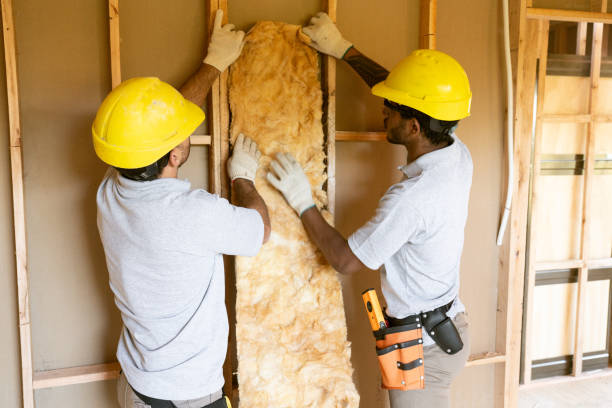 Best Garage Insulation Installation  in Macclenny, FL