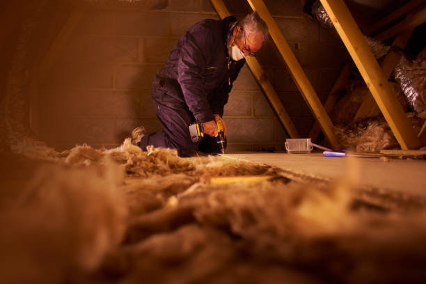 Best Insulation for New Construction  in Macclenny, FL